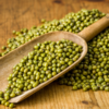 BULK Organic Mung Beans Sprouting and Microgreen Seeds 5-Pounds - Image 3
