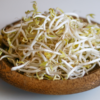 BULK Organic Mung Beans Sprouting and Microgreen Seeds 5-Pounds - Image 4